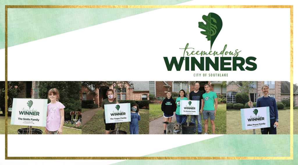 Treemendous Winners MSN
