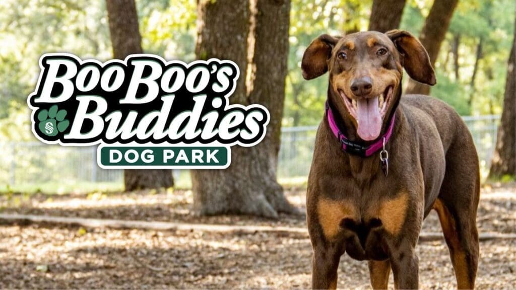 BooBoo's Buddies Dog Park