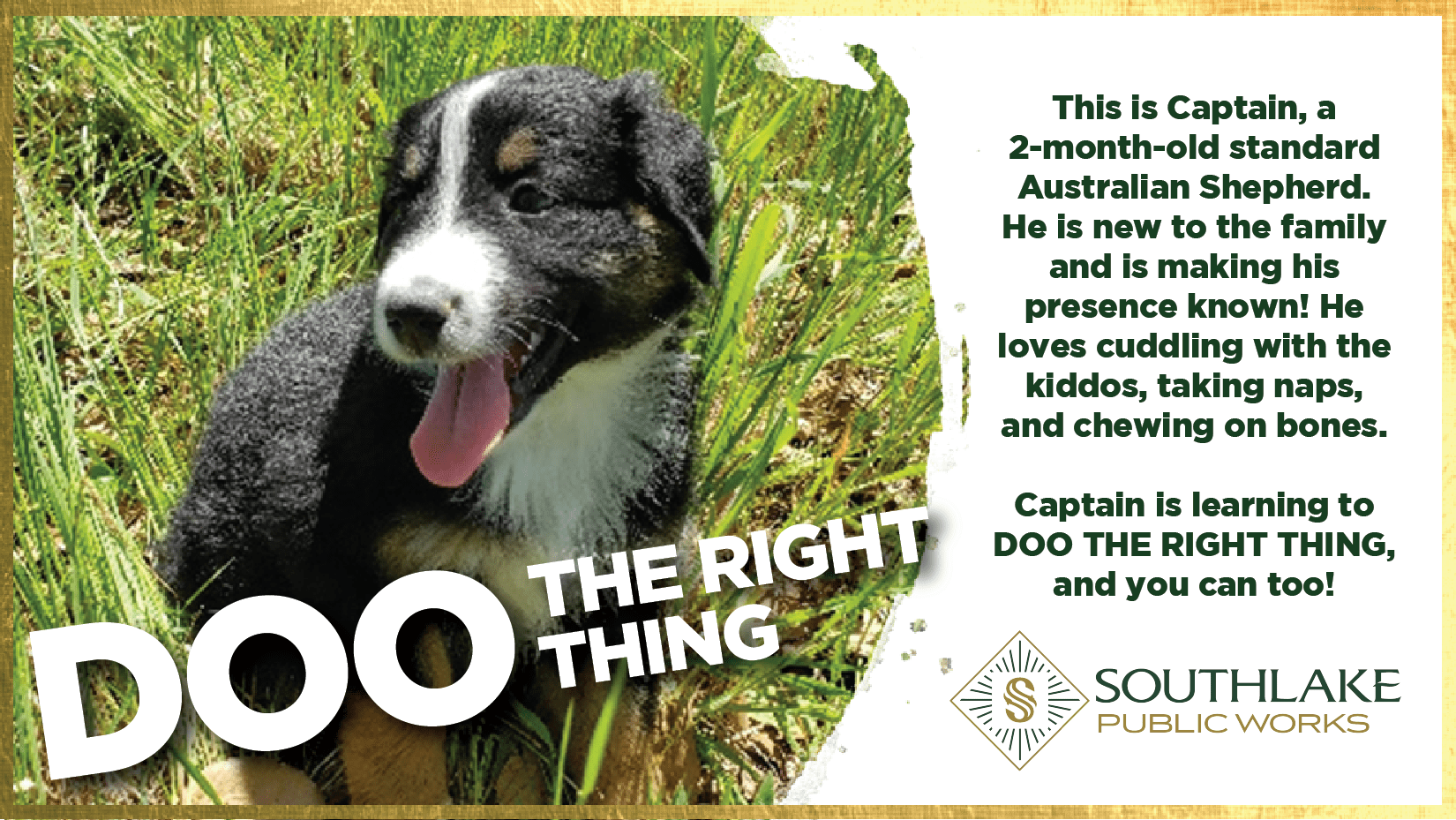 Doo the Right Thing photo with dog