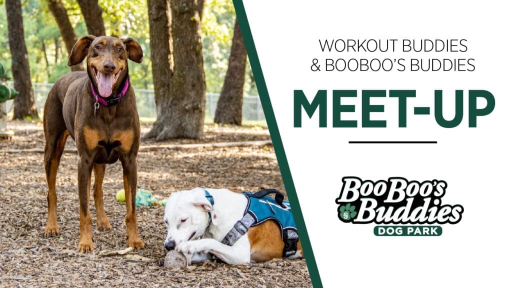 Boo Boo's Buddies Meet-up