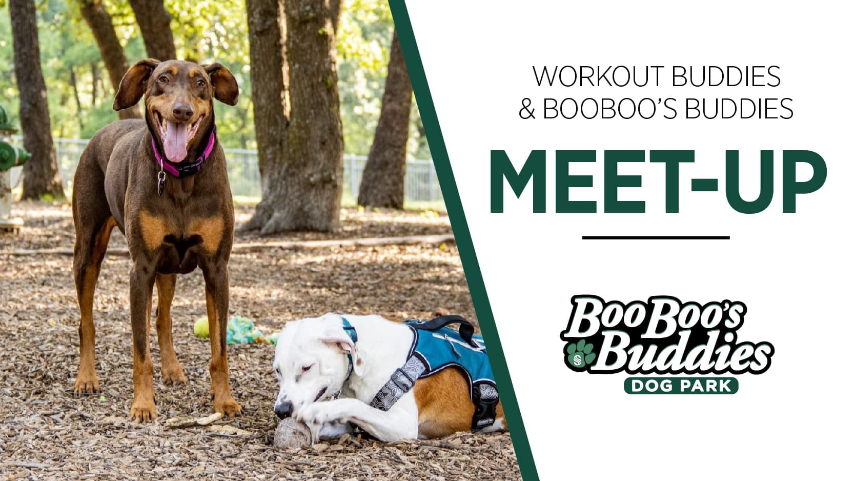 Boo Boo's Buddies Meet-up