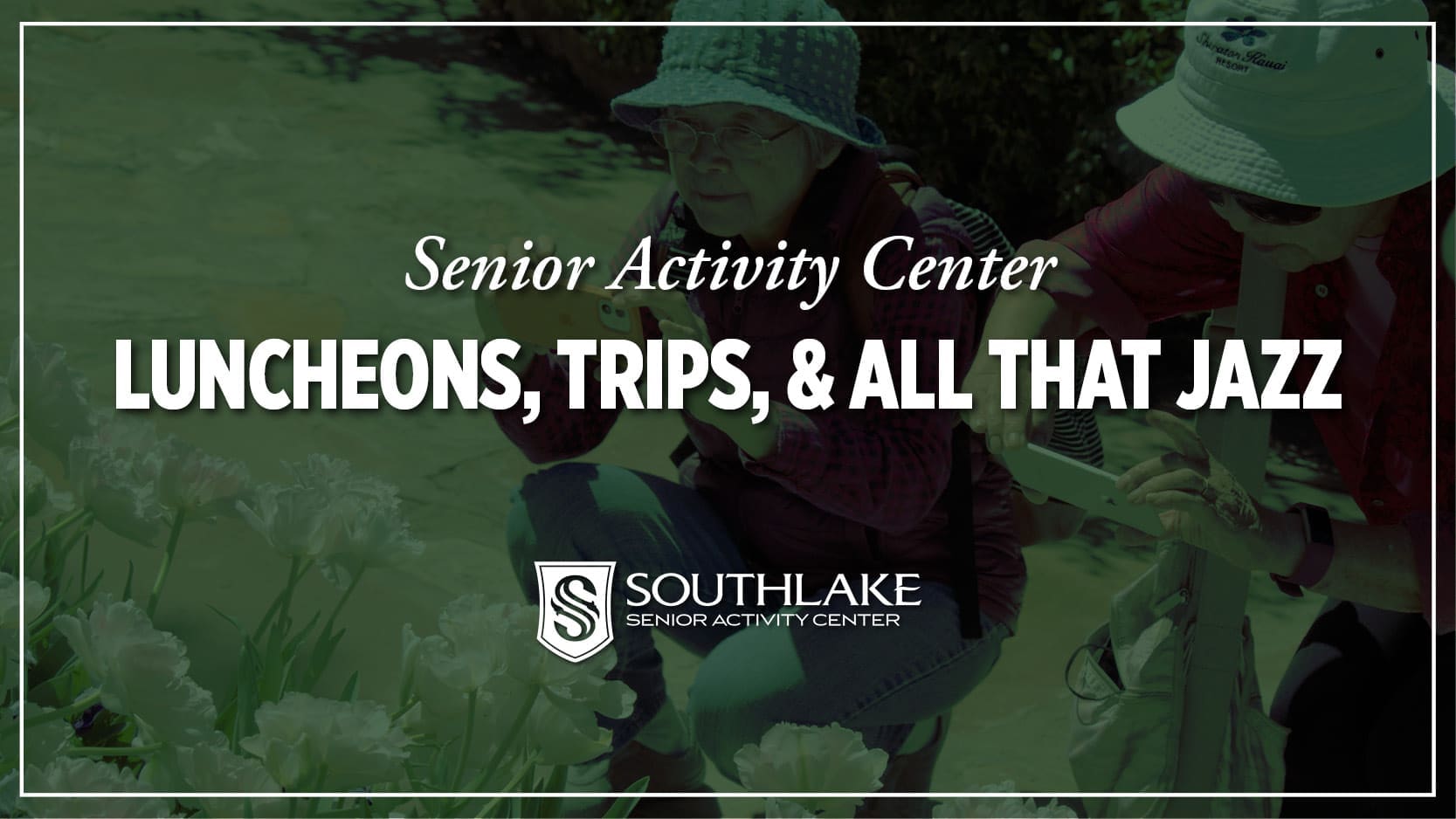 Senior Luncheons Trips and Jazz