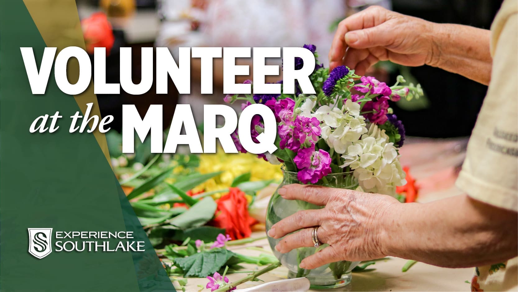 Volunteer at the Marq