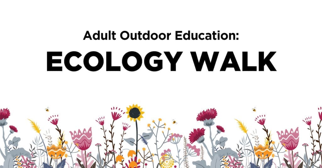 Adult Outdoor Education Ecology Walk