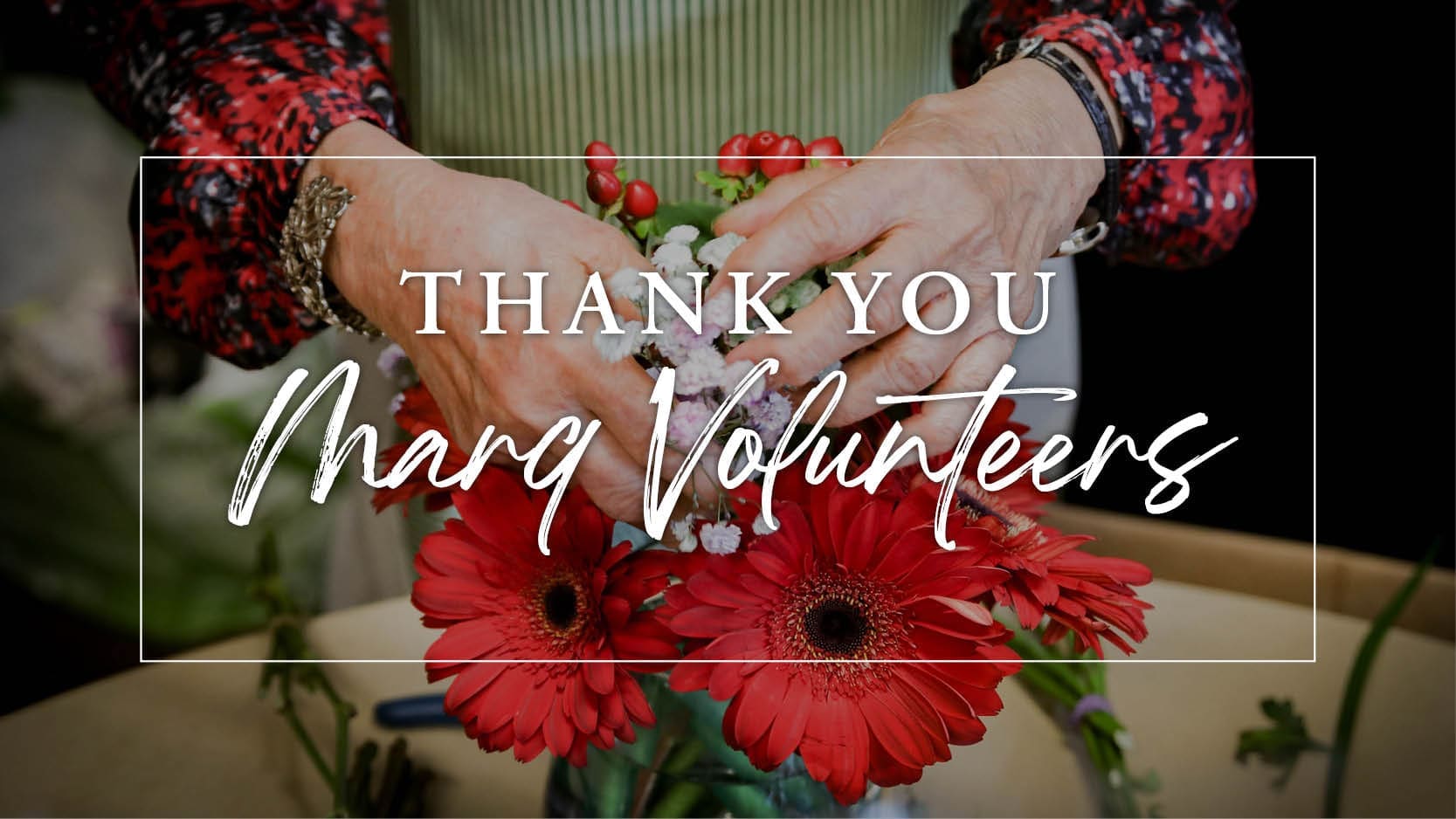 Thank You Marq Volunteers