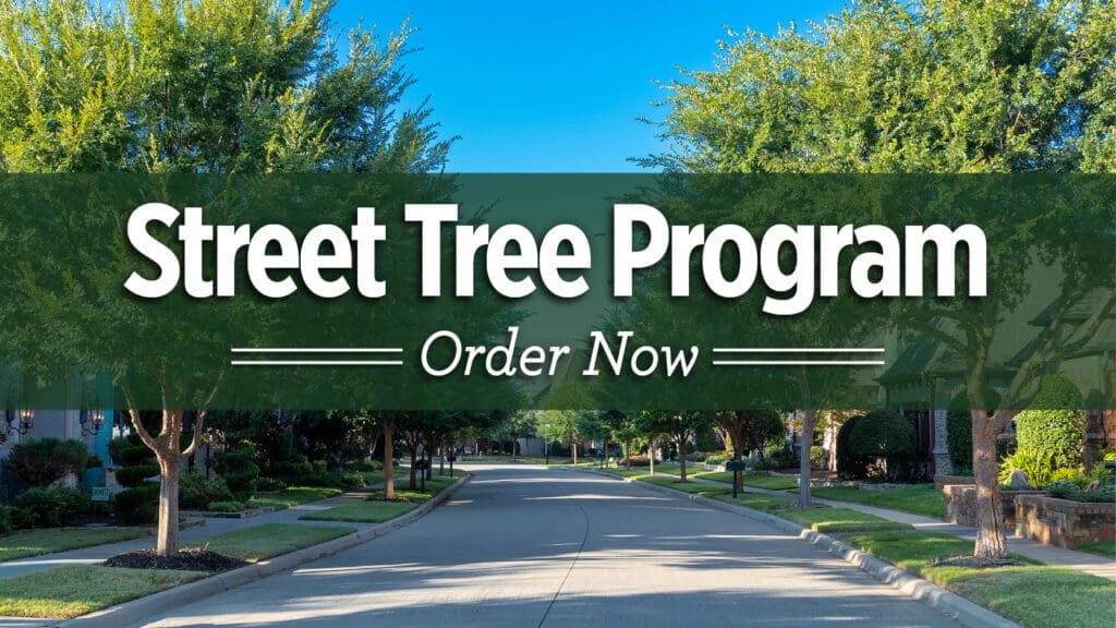 Street Tree Program
