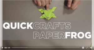 Frog Video Screenshot