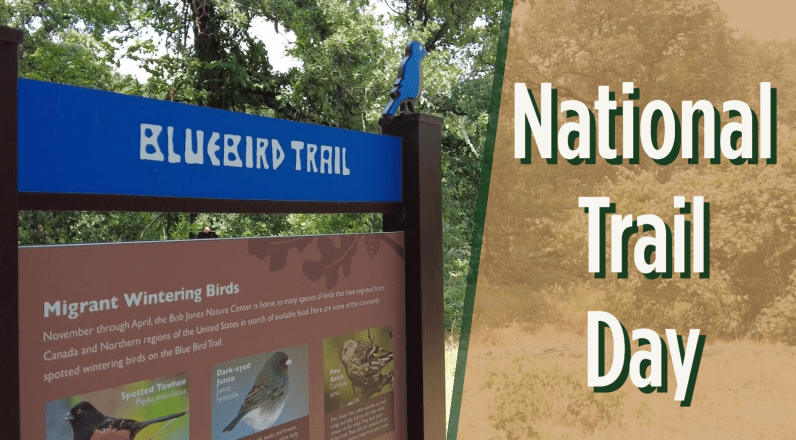 MSN Graphic for National Trail Day
