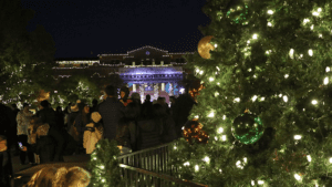 A Christmas Tree lit up with Town Hall in the background