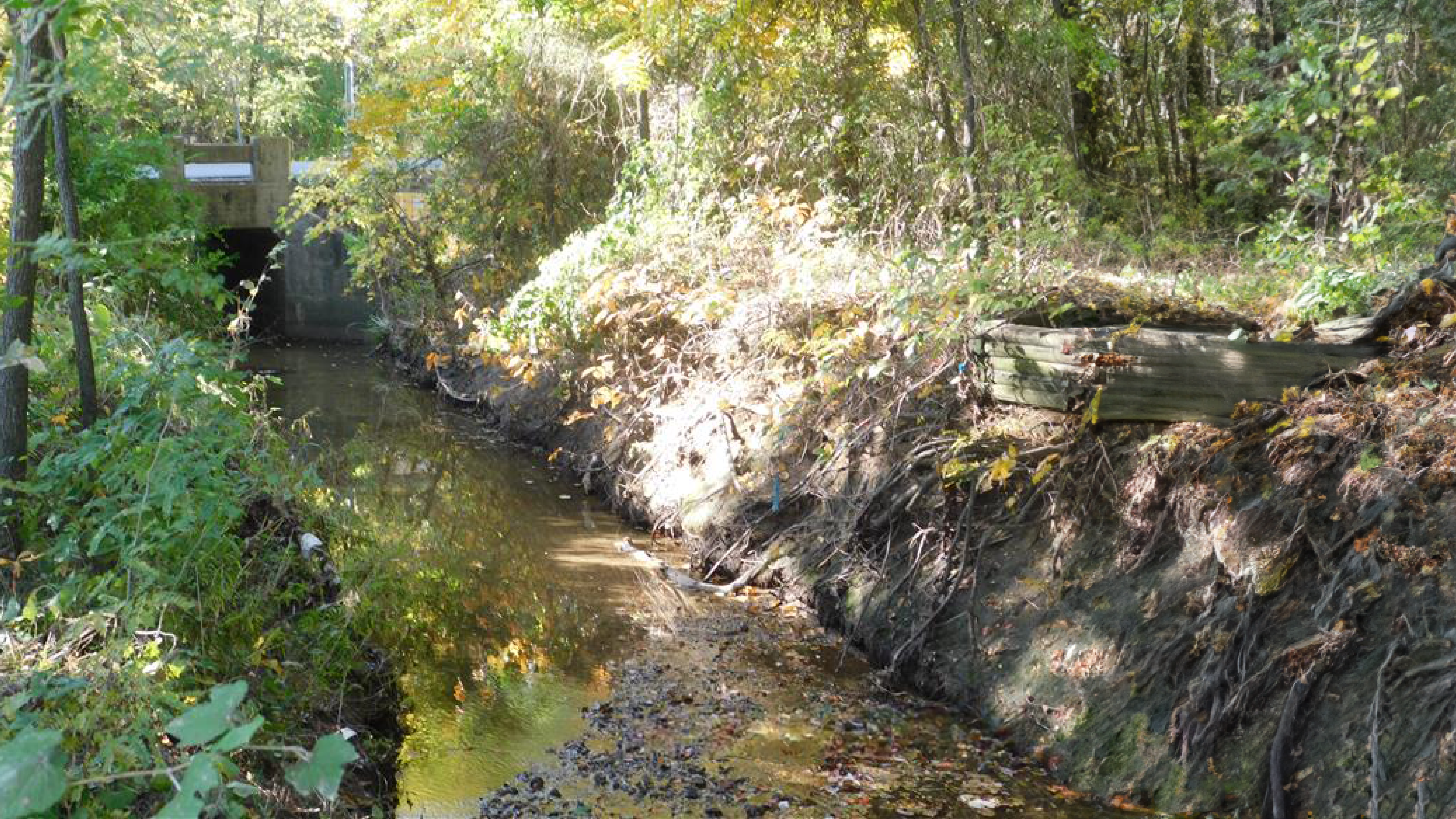 Photo of a small creek