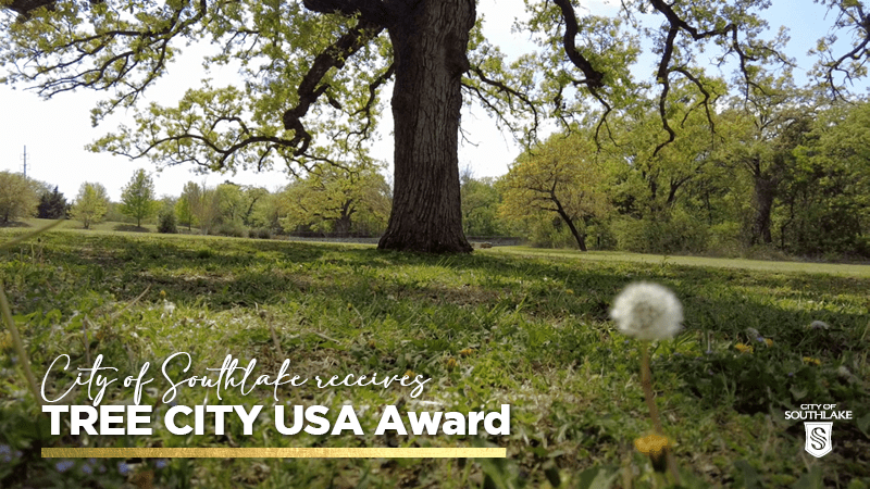 A scenic park view shows a large tree in the center with lush green grass and a dandelion in the foreground. Text overlay reads, "City of Southlake receives Tree City USA Award." Logo for the City of Southlake is in the lower right corner.