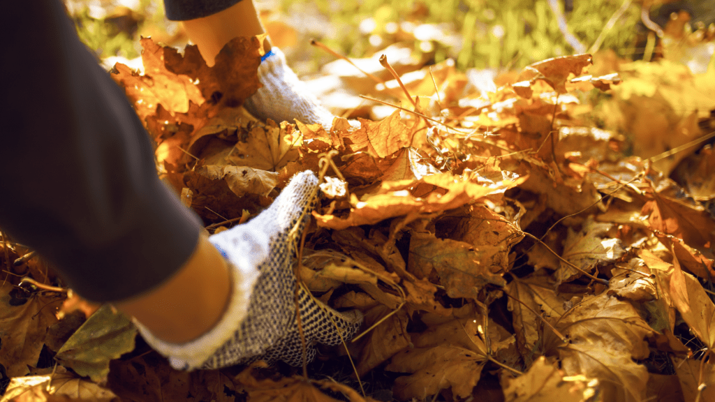 Photo of someone lifting up leaves
