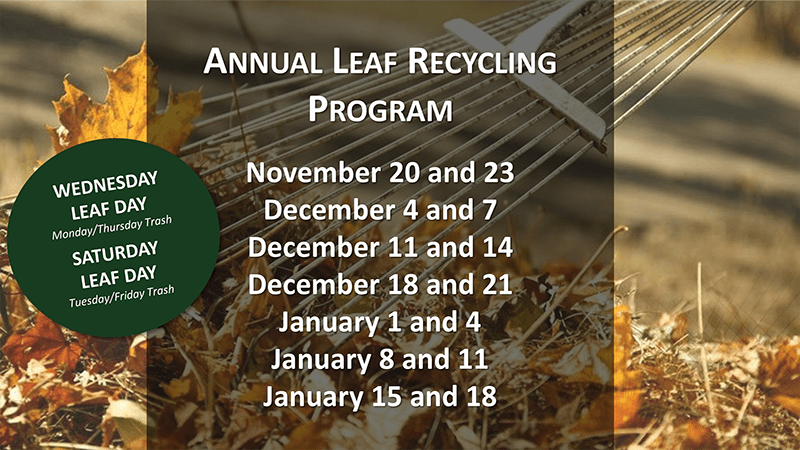 A graphic with leaves and dates.