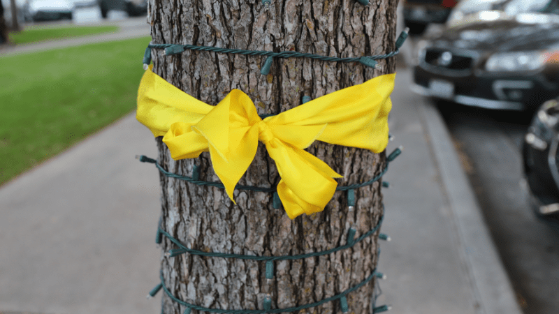 A yellow ribbon tied around a tree trunk wrapped with string lights, with grass, sidewalk, and parked cars visible in the background.